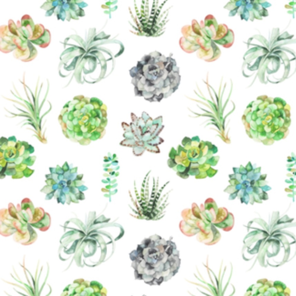 Meet your Posher, Sophia